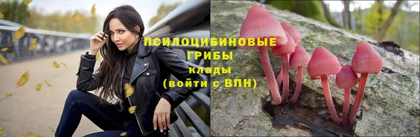 спиды Алзамай