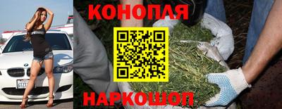 apvp Коммунар