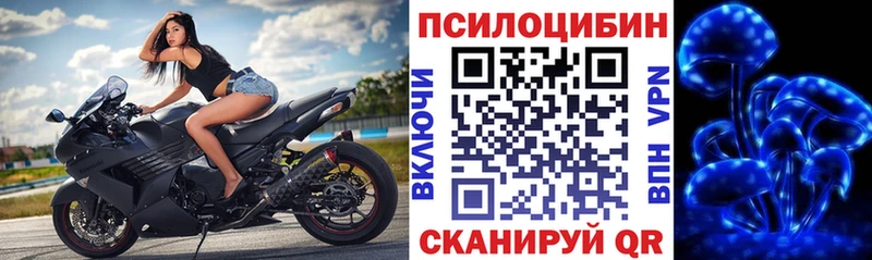 Псилоцибиновые грибы Magic Shrooms  Старая Купавна 
