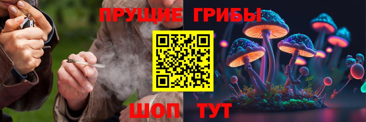 Галлюциногенные грибы GOLDEN TEACHER  Вход с VPN  купить  сайты  Старая Купавна 